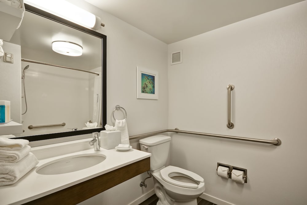 Hampton Inn & Suites Los Angeles Burbank Airport - photo 5