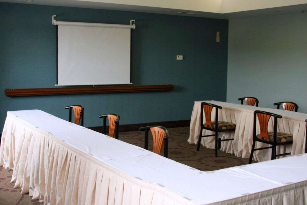 Hampton Inn Williamston - photo 14