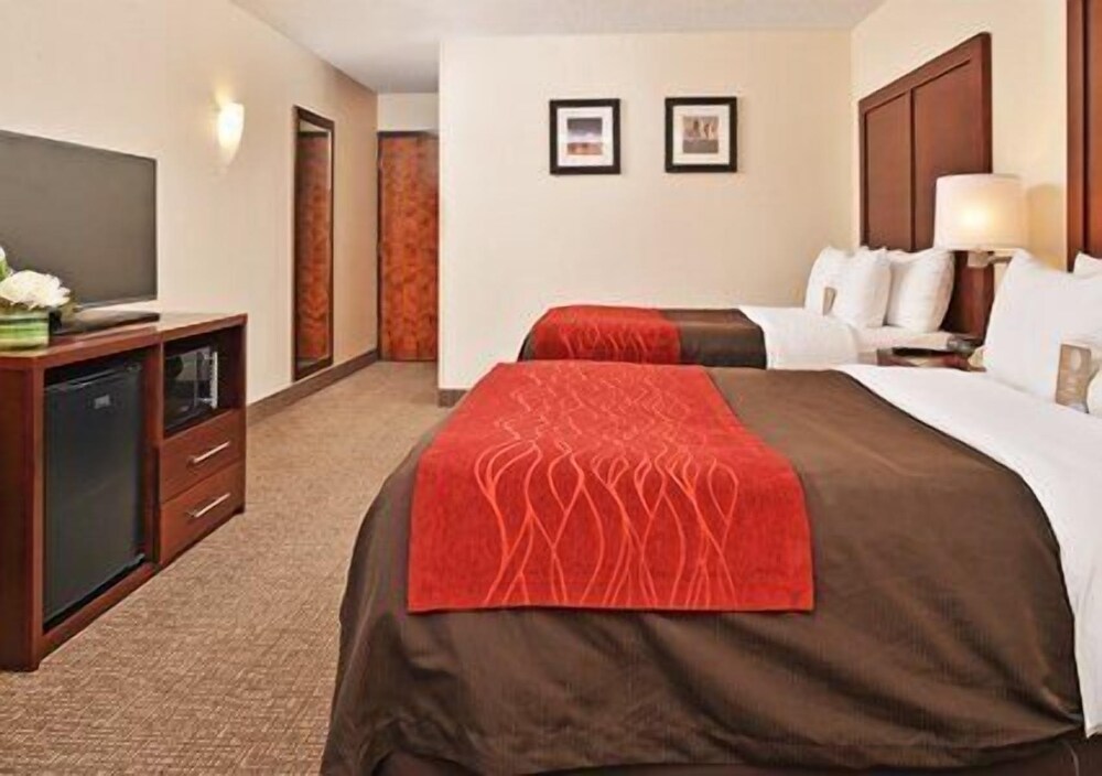 Comfort Inn & Suites Denver Northfield - photo 9