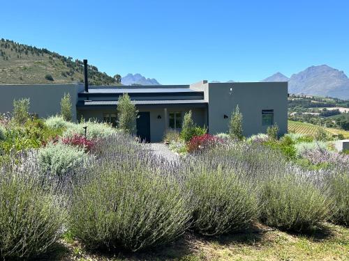 Windon vineyard farmhouse — 4-Star Luxury Hotel in Stellenbosch, South Africa