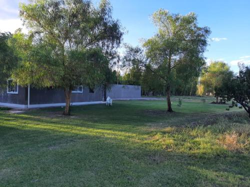 Finca La Chiqueta — Albardon — photo 4