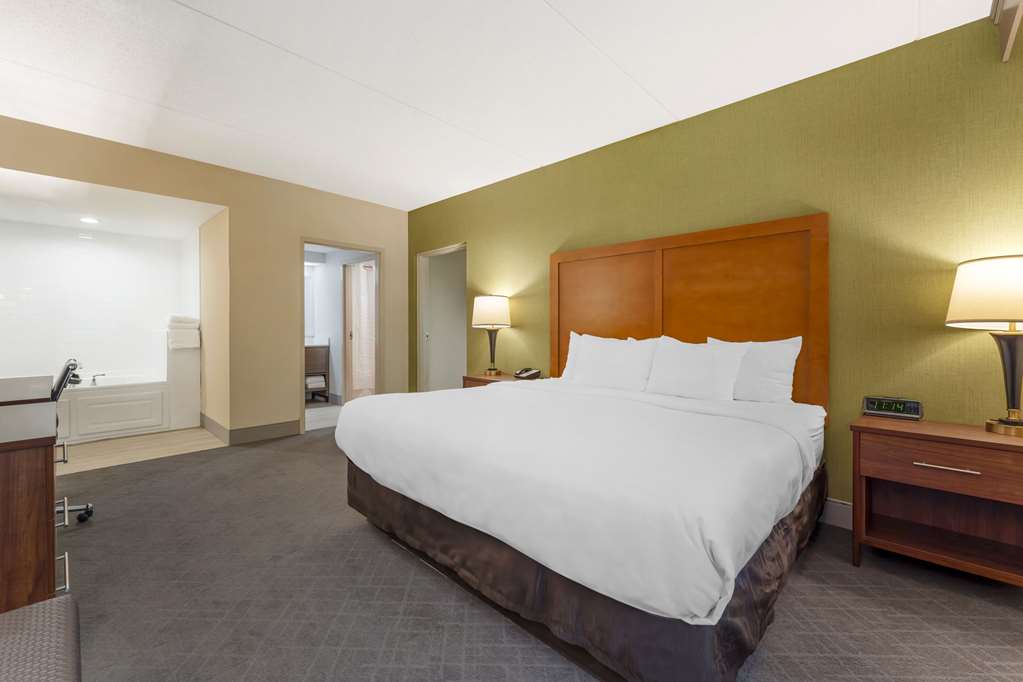 Comfort Inn & Suites LaVale Cumberland - photo 30