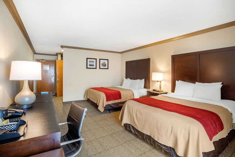 Comfort Inn Castro Valley - photo 6