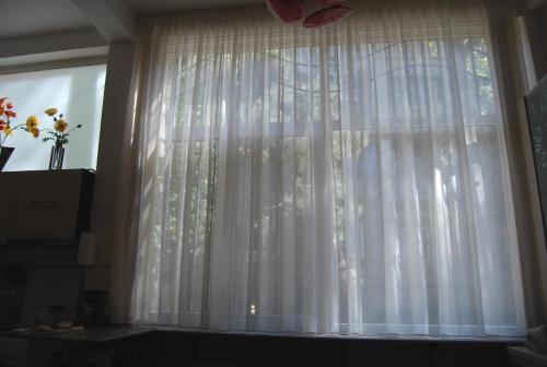Center Apartment
