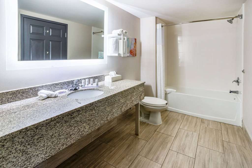 Wingate by Wyndham Atlanta Galleria Ballpark - photo 16