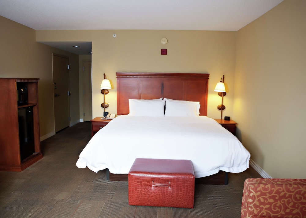 Hampton Inn Martin - photo 19