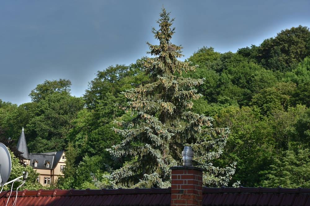 City view from property