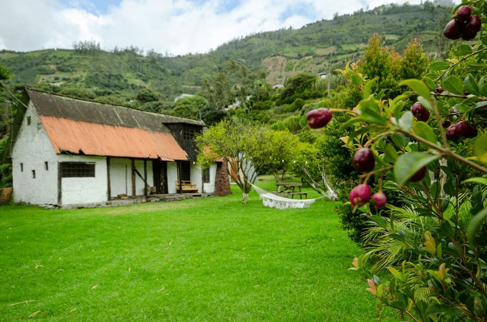 Natural Garden Glamping in Banos, Ecuador