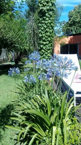 Posta Batata — Parana — photo 4