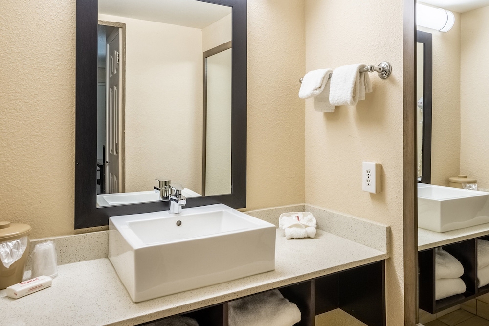 Red Roof Inn Tampa Bay St Petersburg - photo 22