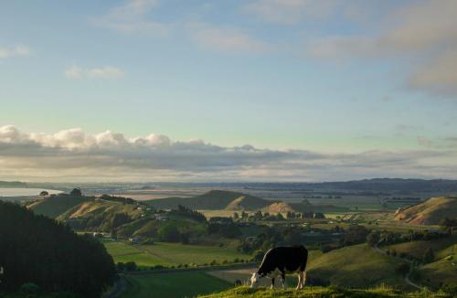 The Grange Lodge — 5-Star Luxury Hotel in Napier, New Zealand