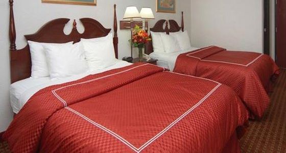 Comfort Suites at UNT - photo 4