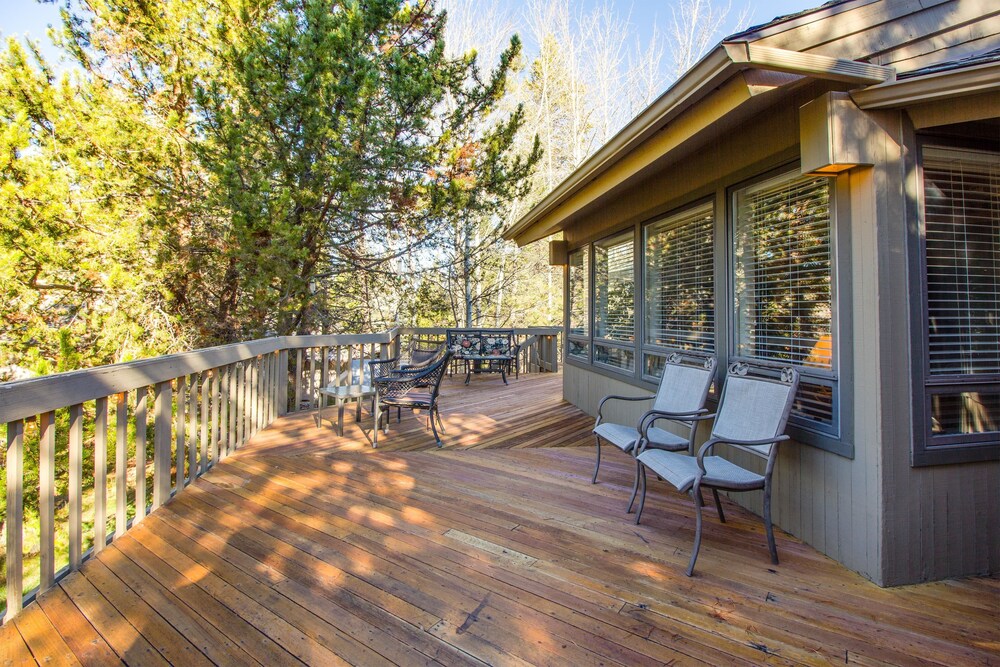 Tan Oak 15 - photo 11