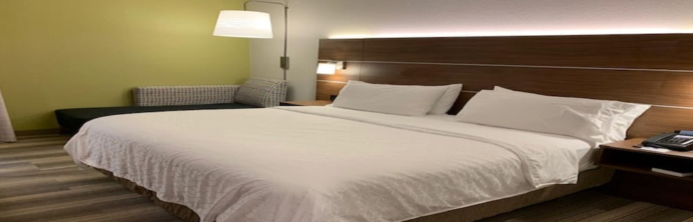 Holiday Inn Express Tampa Brandon by IHG - photo 7