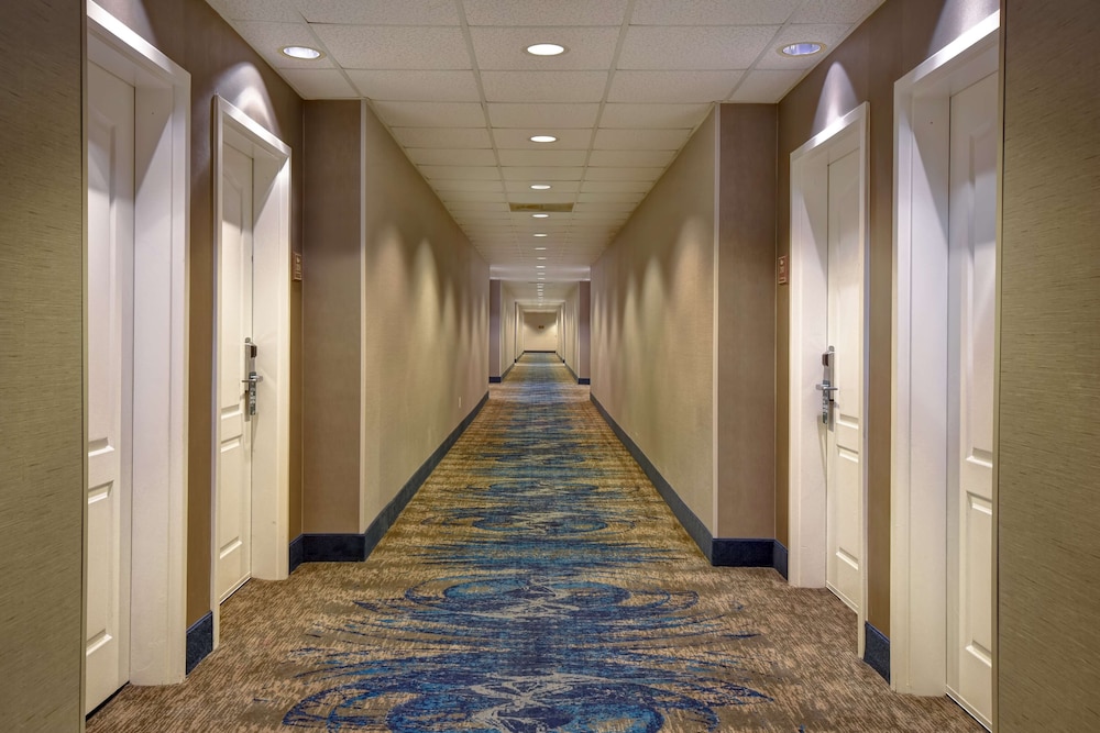 Homewood Suites By Hilton Houston IAH Airport Beltway 8 - photo 34
