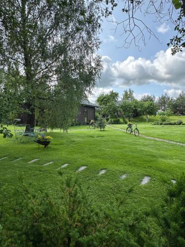Pramogų namelis — Unknown City — photo 4