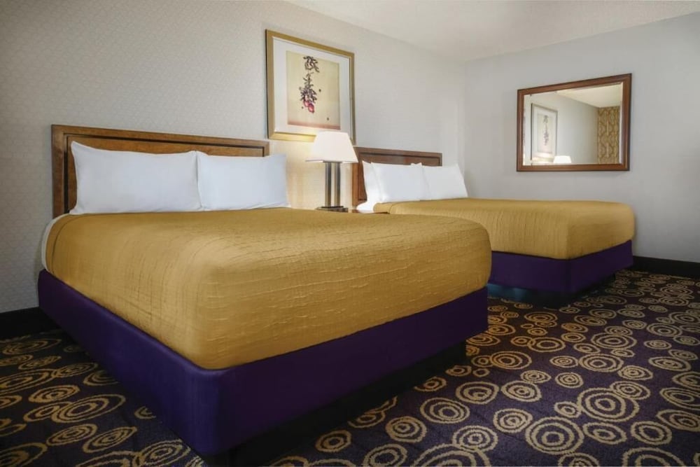 Circus Circus Hotel Casino & Theme Park - photo 13