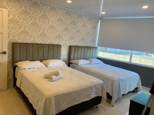 Borabora Hotel - last minute hotel in San Andres