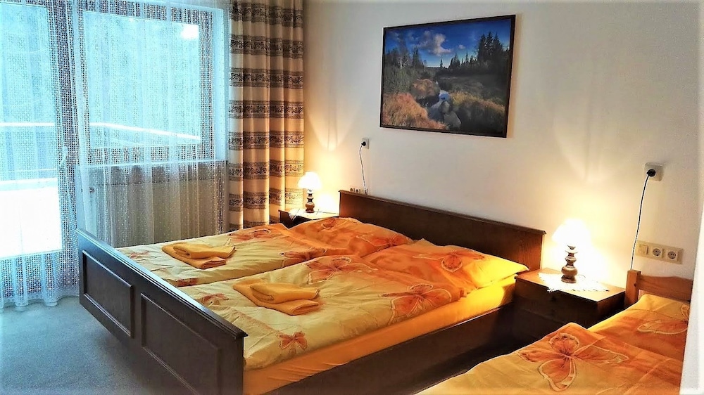 Penzion Sumavacek — Bayerisch Eisenstein — photo 5