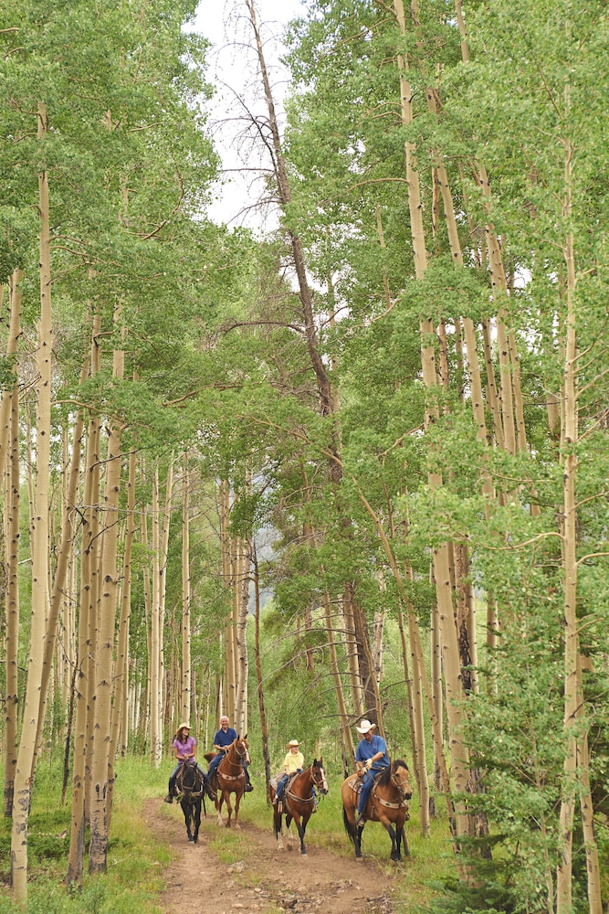 Forest Condominiums by Keystone Resort - photo 73