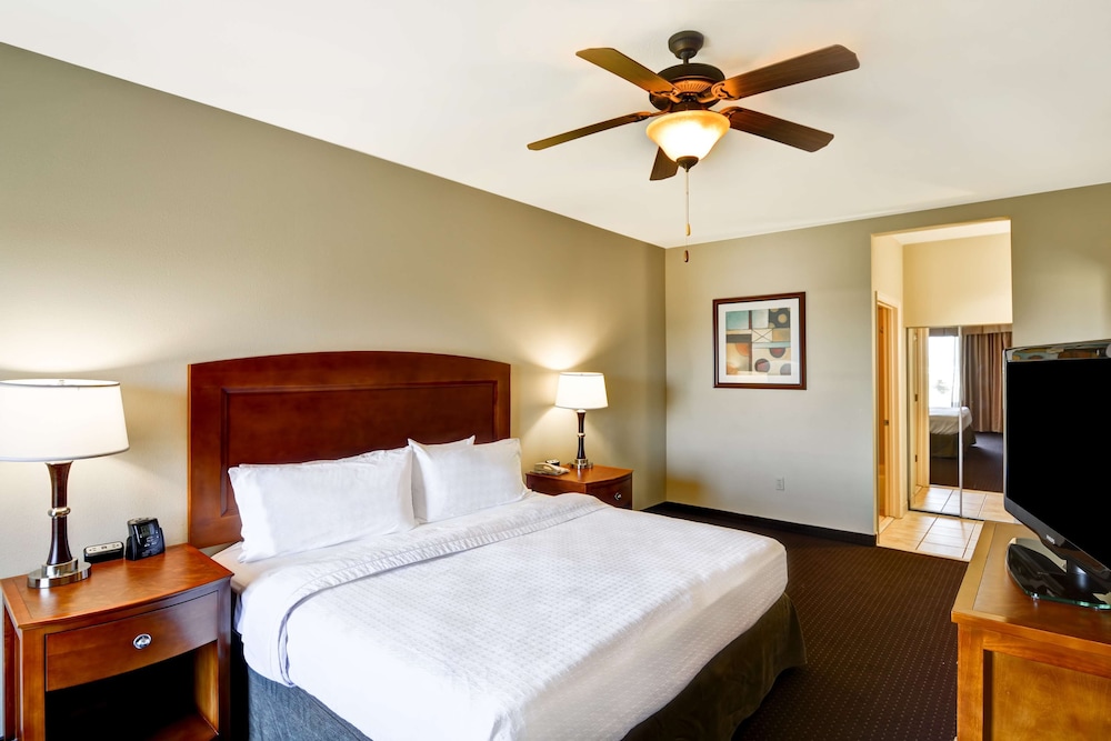 Homewood Suites Houston West Energy Corridor - photo 15