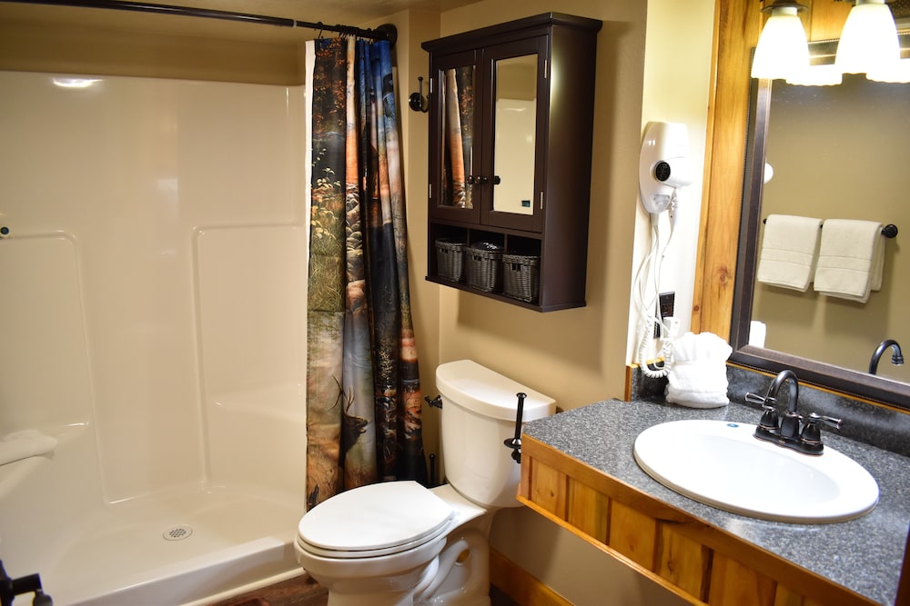 Silver Horseshoe Inn - photo 49