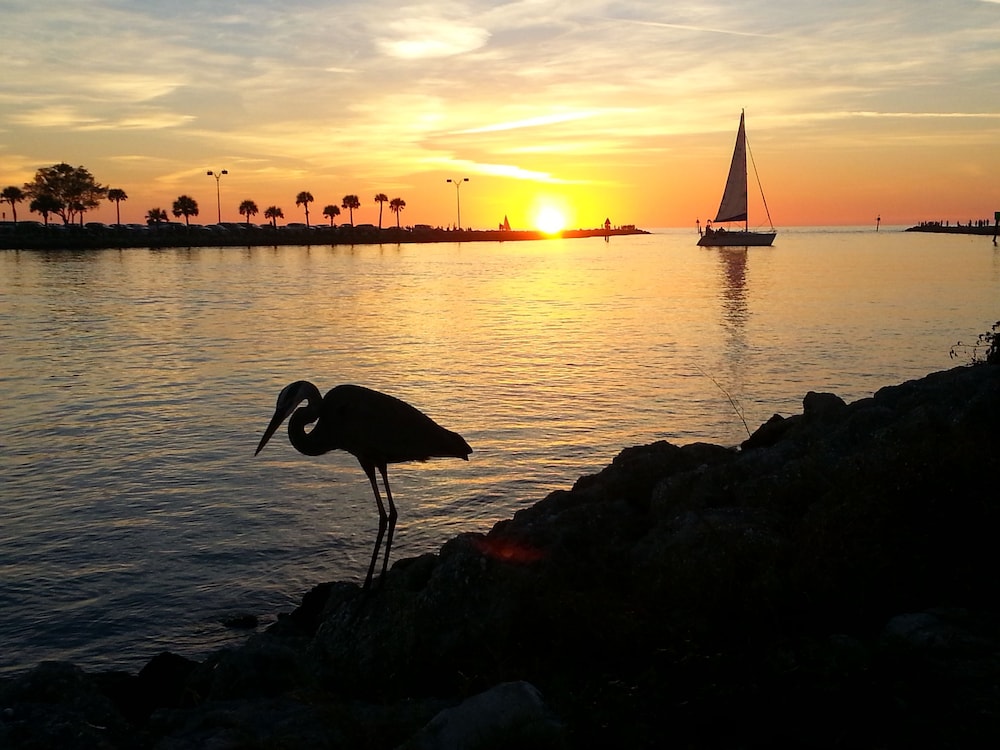 A Beach Retreat - photo 177
