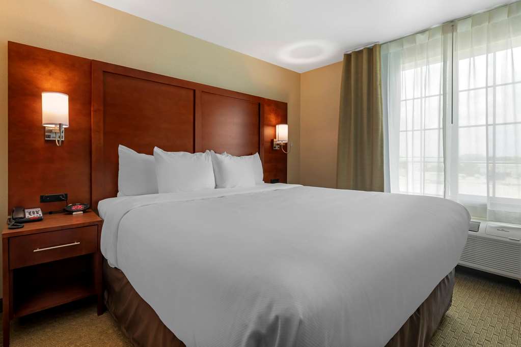 Comfort Inn & Suites Euless DFW West - photo 16