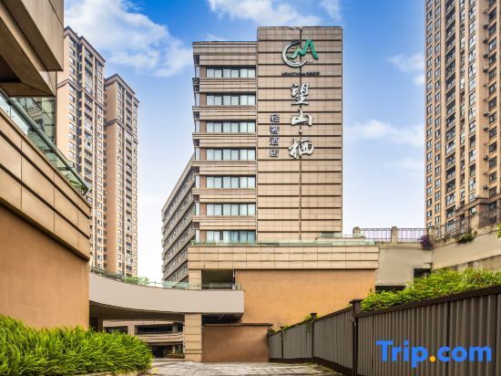 Theme Light Luxury Hotel Chongqing Guanghuan Shopping Street — 4-Star Luxury Hotel in Chongqing, People's Republic of China