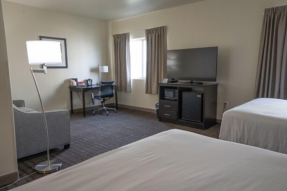 Cobblestone Inn & Suites Sheldon - photo 23