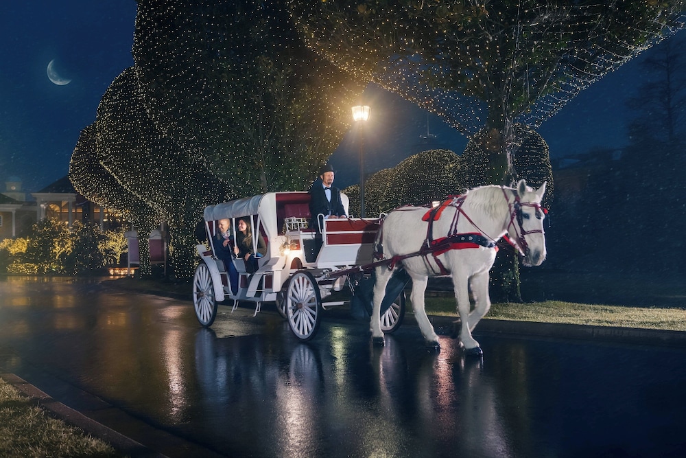 Gaylord Opryland Resort & Convention Center - photo 29