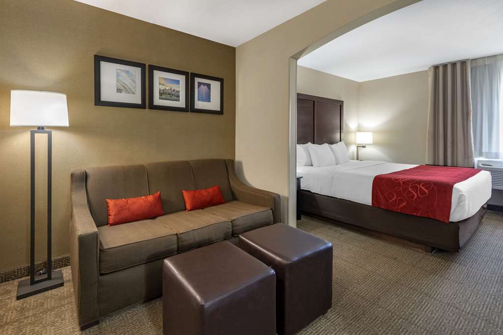 Comfort Suites Highlands Ranch Denver Tech Center Area - photo 5