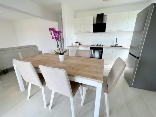 Stel Mar Apartment — 4-Star Luxury Hotel in Rab, Croatia