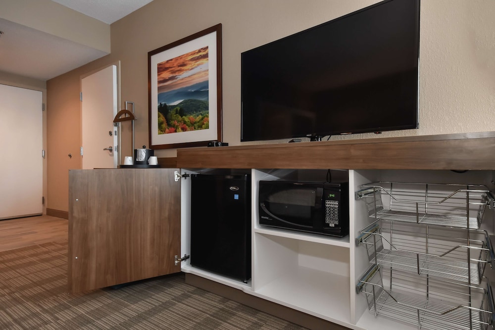 Hampton Inn Brevard - photo 9