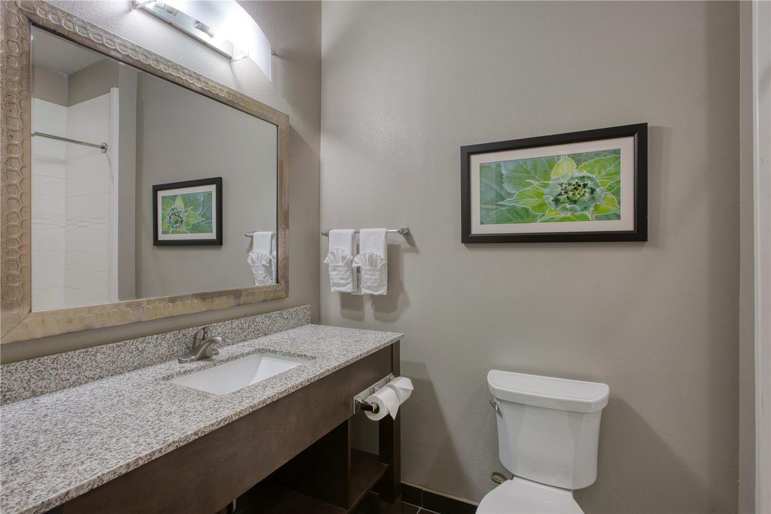 Best Western Plus Tech Medical Center Inn - photo 47