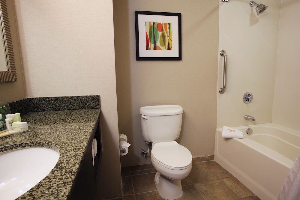 Holiday Inn Phoenix Chandler by IHG - photo 41