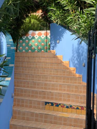 Maroccana — Bar — photo 5