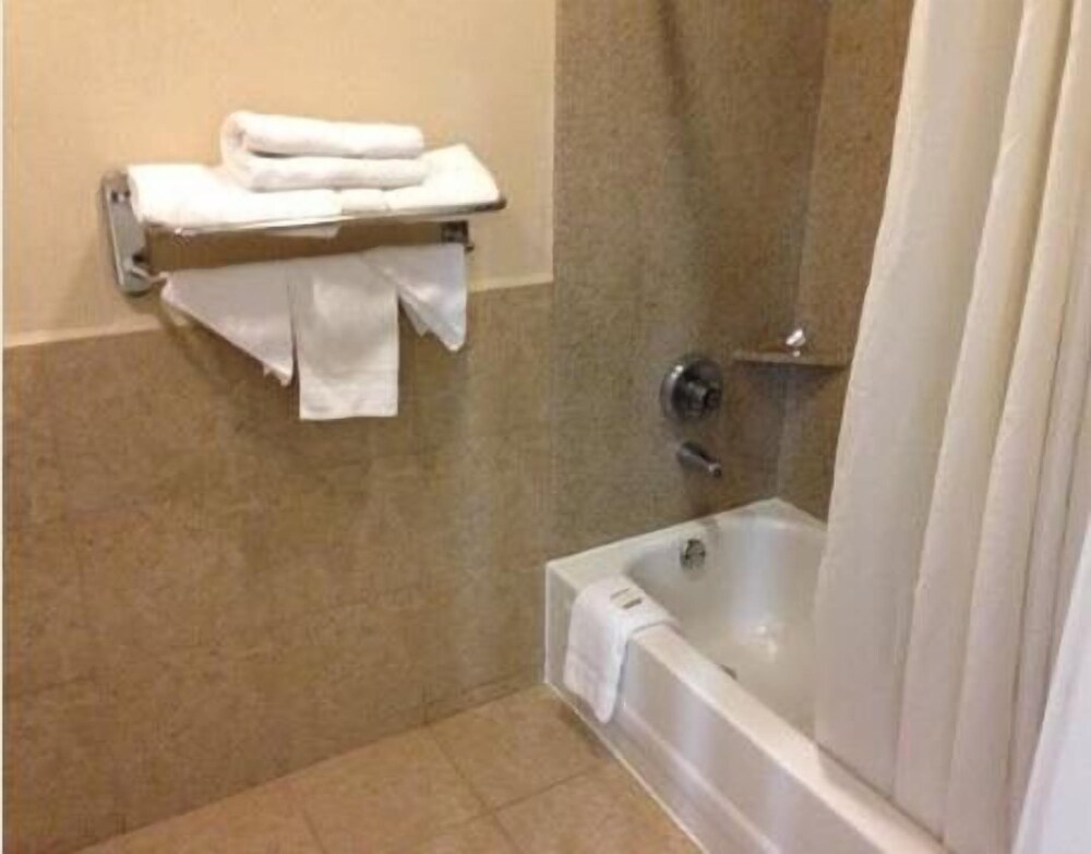 Downtowner Inn and Suites Hobby - photo 11
