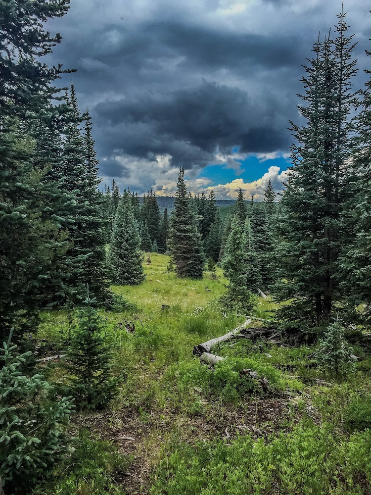 Arrowhead Mountain Lodge - photo 23