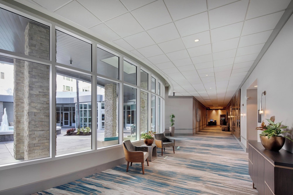 Sheraton Suites Fort Lauderdale West - photo 44