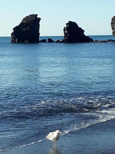 T2 Plage de la Conque in Cap Dagde, France