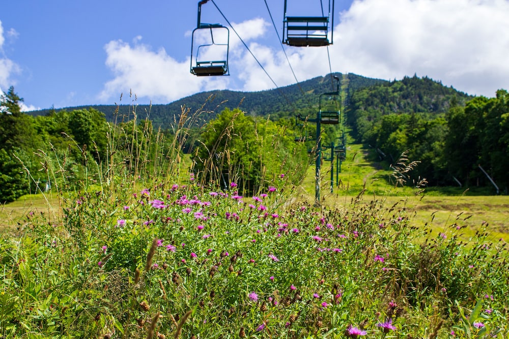 Smugglers' Notch Resort Private Suites - photo 117