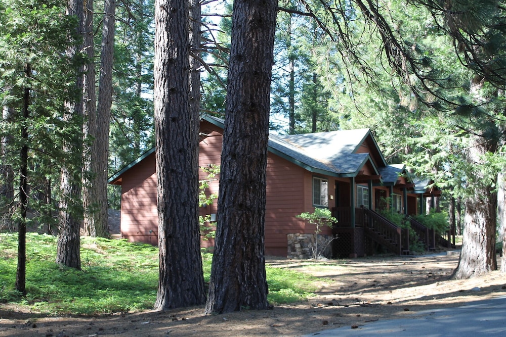 Mount Shasta Resort - photo 91