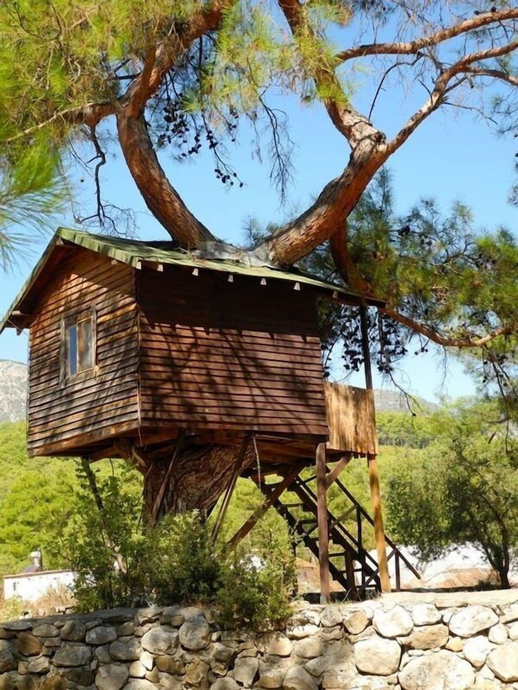 Olympos Woods Adults Only in Kumluca, Turkey