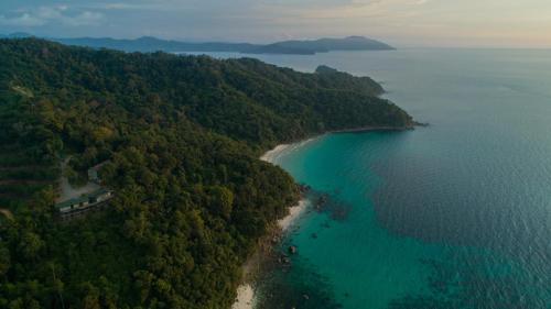 Rimba at Koduko Sanctuary in Kota Belud, Malaysia