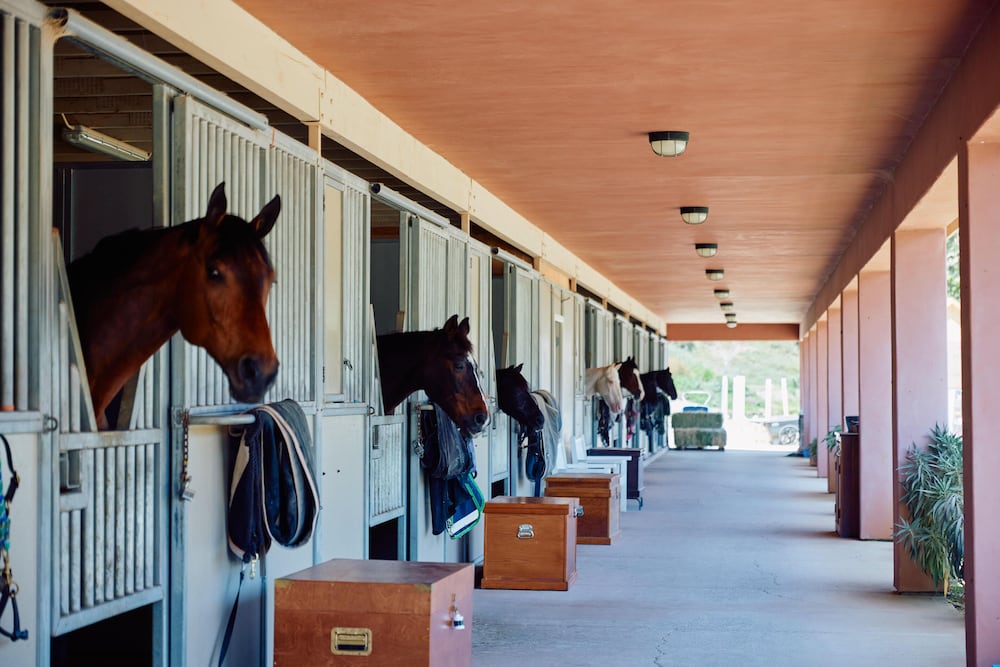 Fairmont Grand Del Mar - photo 110