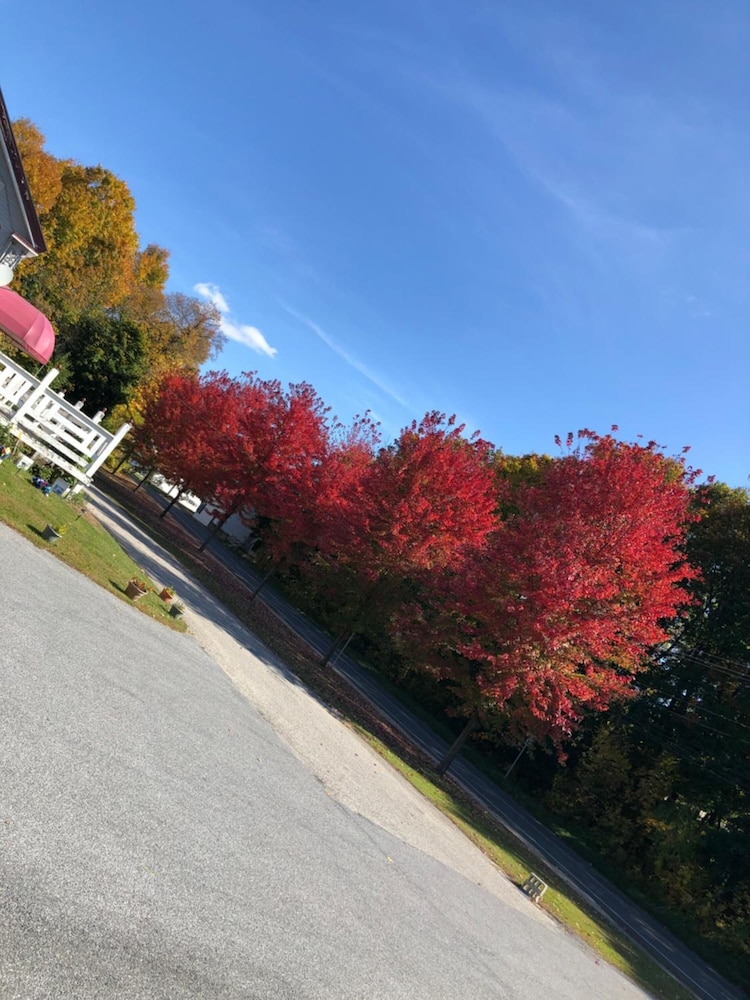 The Autumn Inn - photo 22