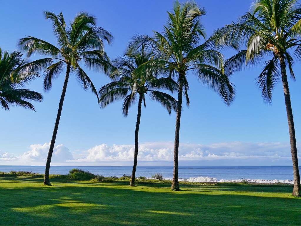 Waimea Plantation Cottages a Coast Resort - photo 26