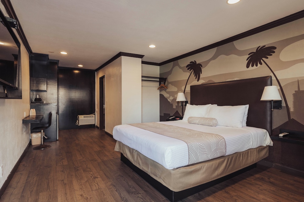 The Dixie Hollywood - photo 13