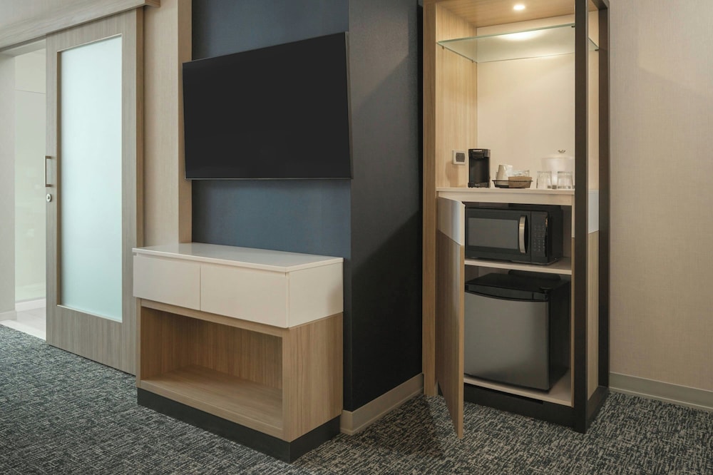 SpringHill Suites by Marriott Tampa Downtown - photo 15